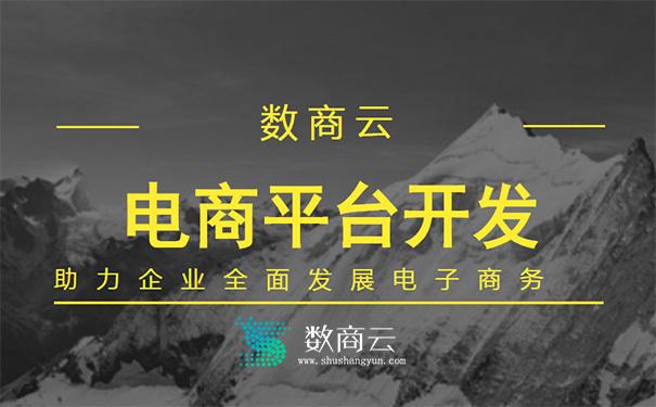 企业建设跨境b2b电子商务网站多少钱