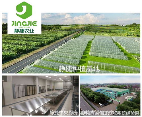 上海市长应勇调研静捷农业 鲜桥助力建设 农产品智慧供应链平台